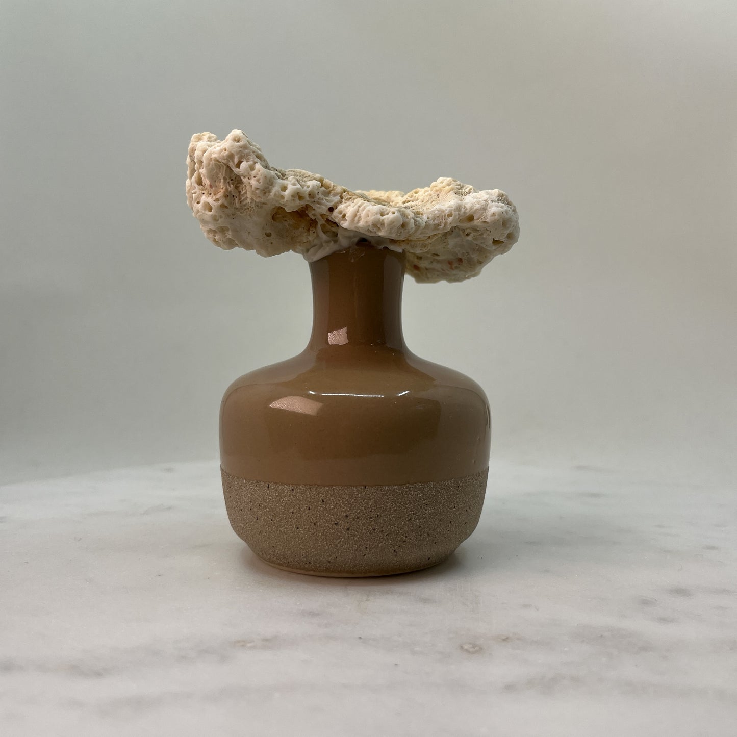 Unique Coral Diffuser Stone 🏝️